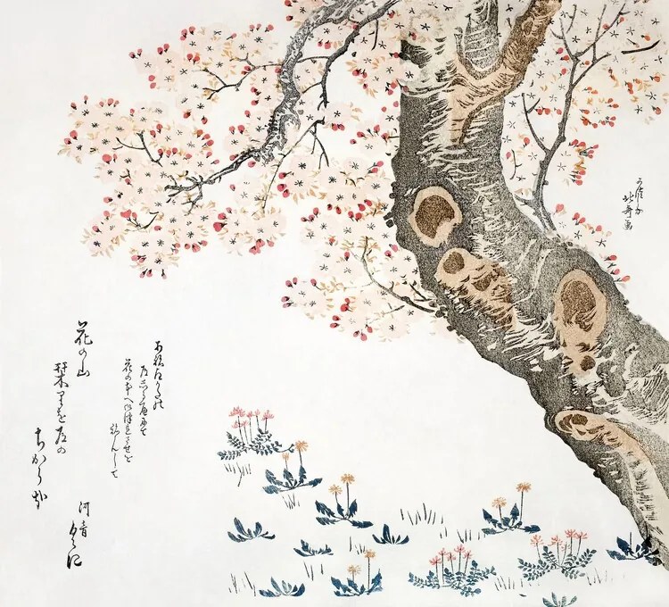 Reproducere Cherry tree (1822), Katsushika Hokusai