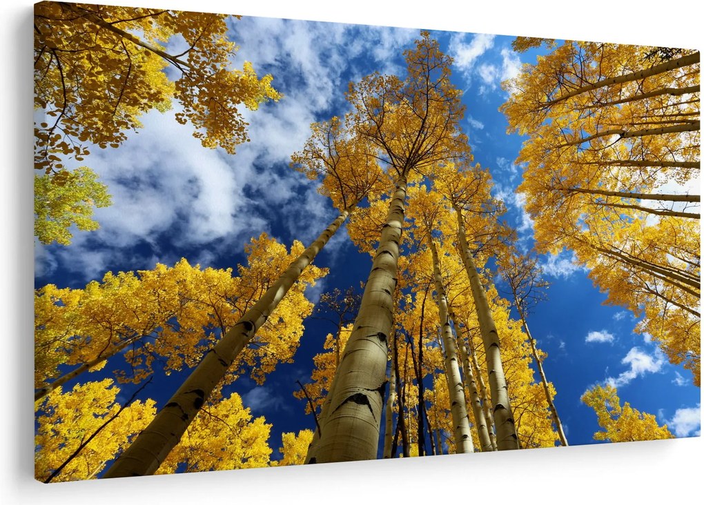 Tablou - Aspen (90x60 cm)
