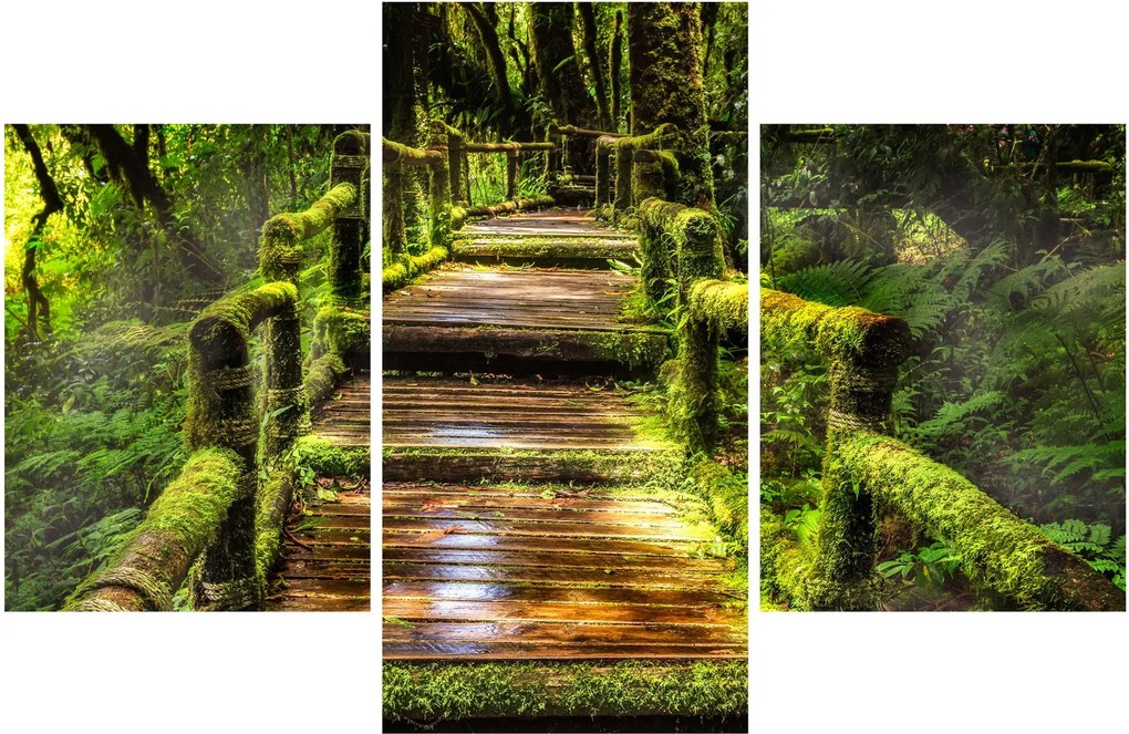 Tablou cu scări într-o pădure tropicală (90x60 cm)