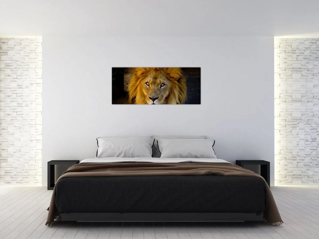 Tablou - Portret de leu (120x50 cm)