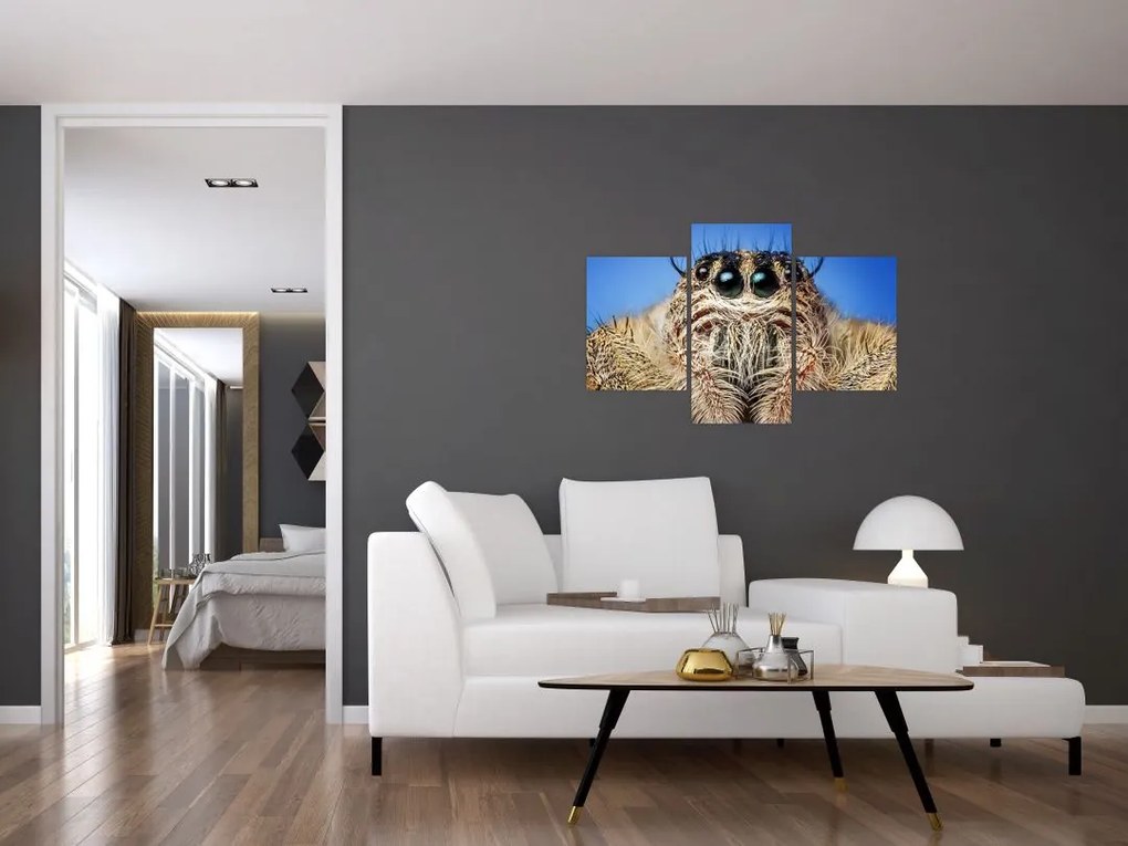 Tablou cu detalii a unui pâianjen (90x60 cm)