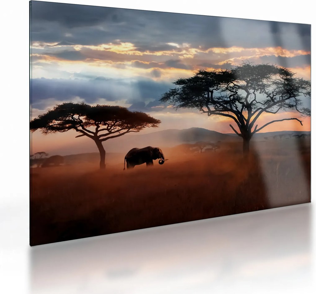 Tablou pe sticlă - Parcul Național Serengeti, Tanzania, Africa (70x50 cm)