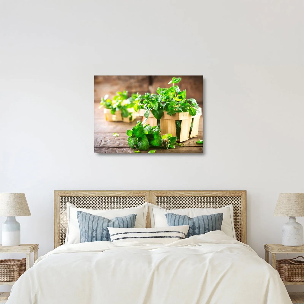 Tablou pe sticlă cu menta proaspătă (70x50 cm)