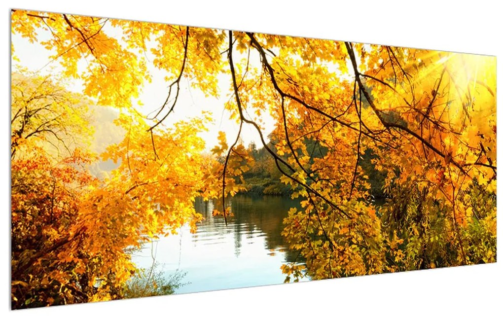 Tablou cu copac în toamnă (120x50 cm), în 40 de alte dimensiuni noi