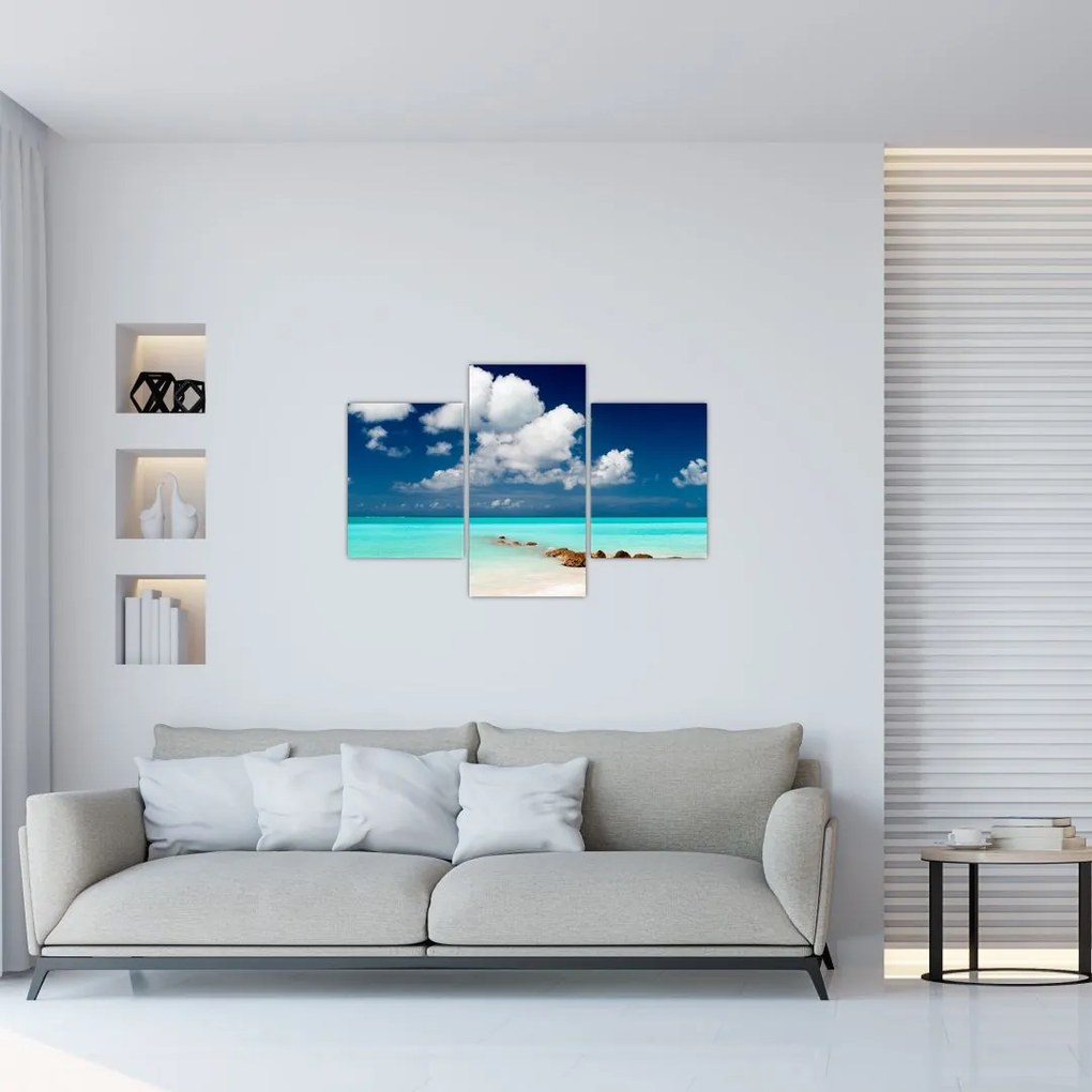 Tablou cu mare (90x60 cm)