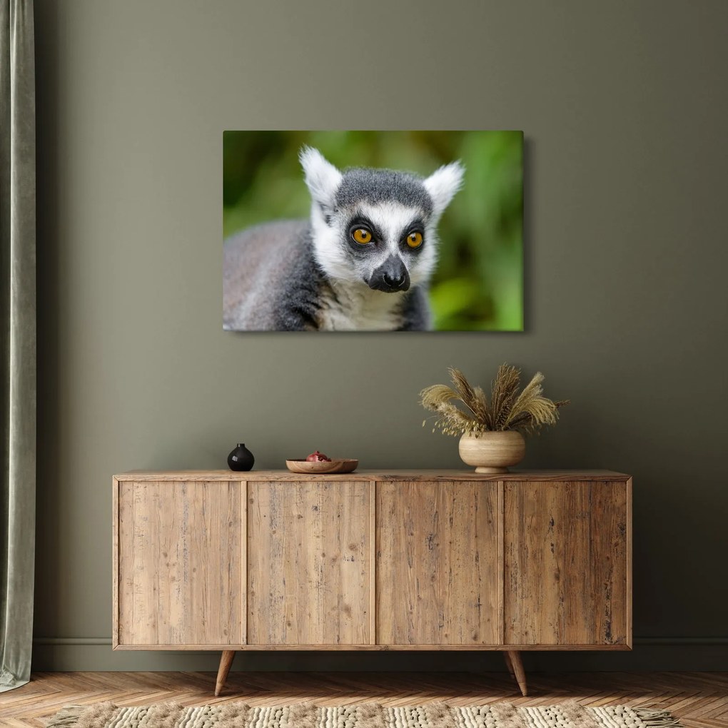 Tablou cu lemur (90x60 cm)