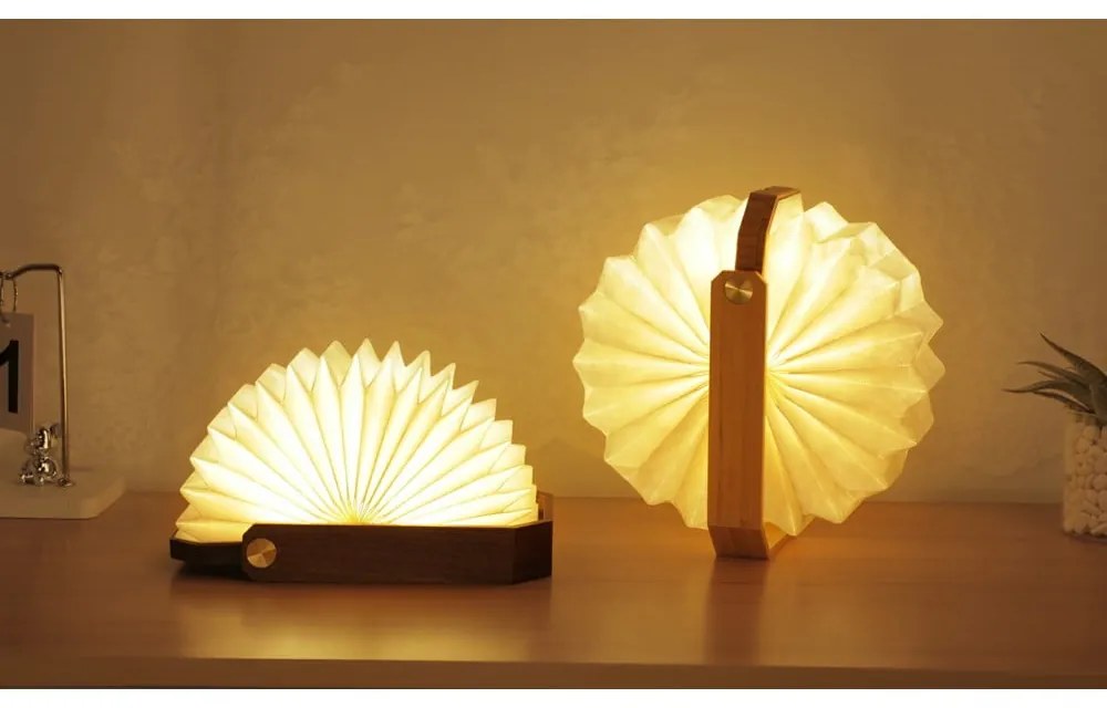 Decorațiune luminoasă albă/în culoare naturală închisă cu USB Origami – Gingko
