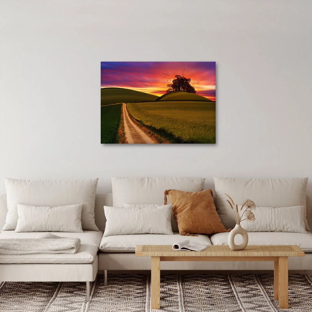 Tablou câmpului cu apus de soare (70x50 cm)