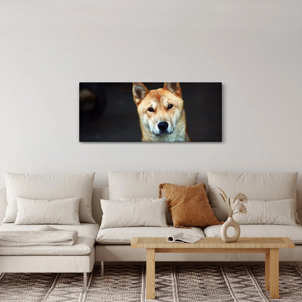 Tablou cu câine (120x50 cm)