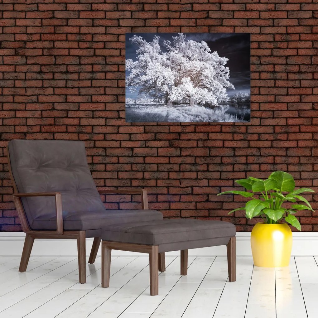 Tablou pe sticlă - Albă ca Zăpada Copac (70x50 cm)