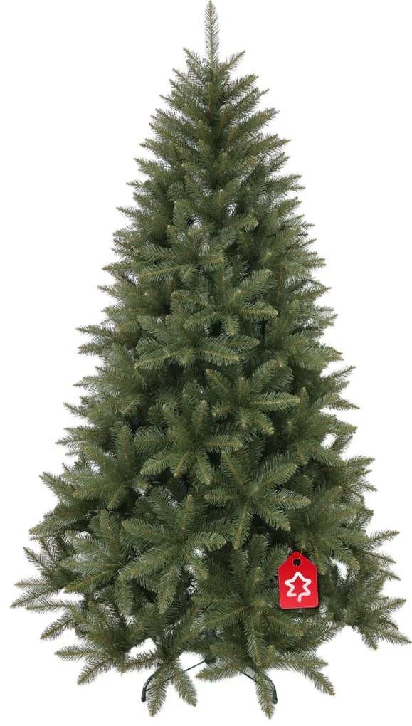 Molid Caucazian 2D 210 cm