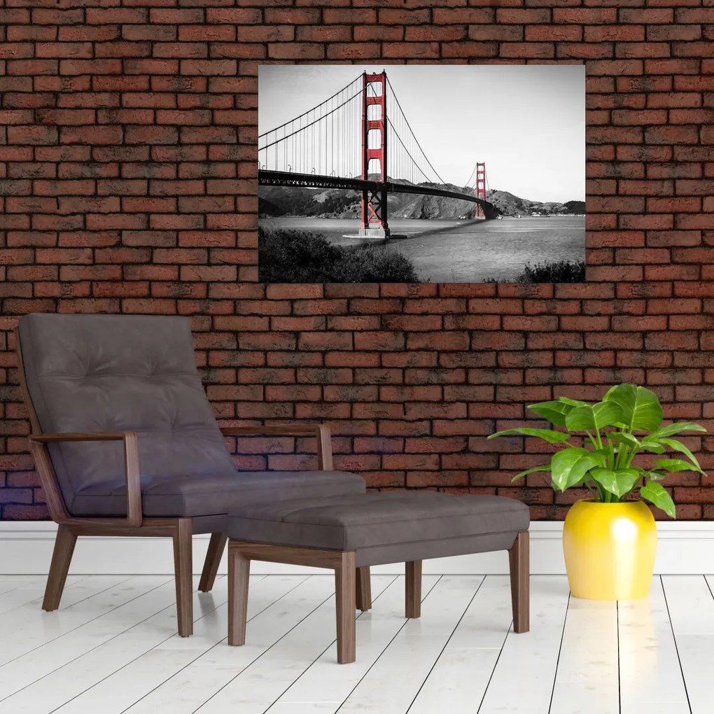 Tablou cu pod (90x60 cm)