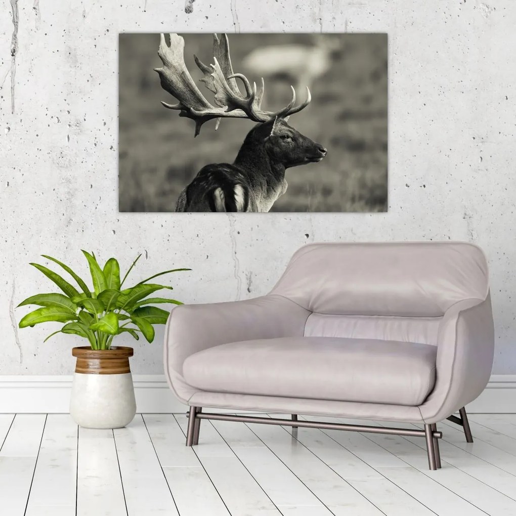 Tablou - Cerb (90x60 cm)