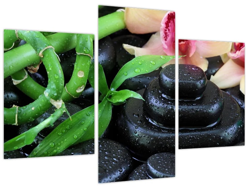 Tablou - Pietre și orhidee (90x60 cm)