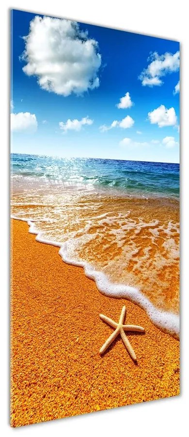 Imagine de sticlă Starfish pe plajă