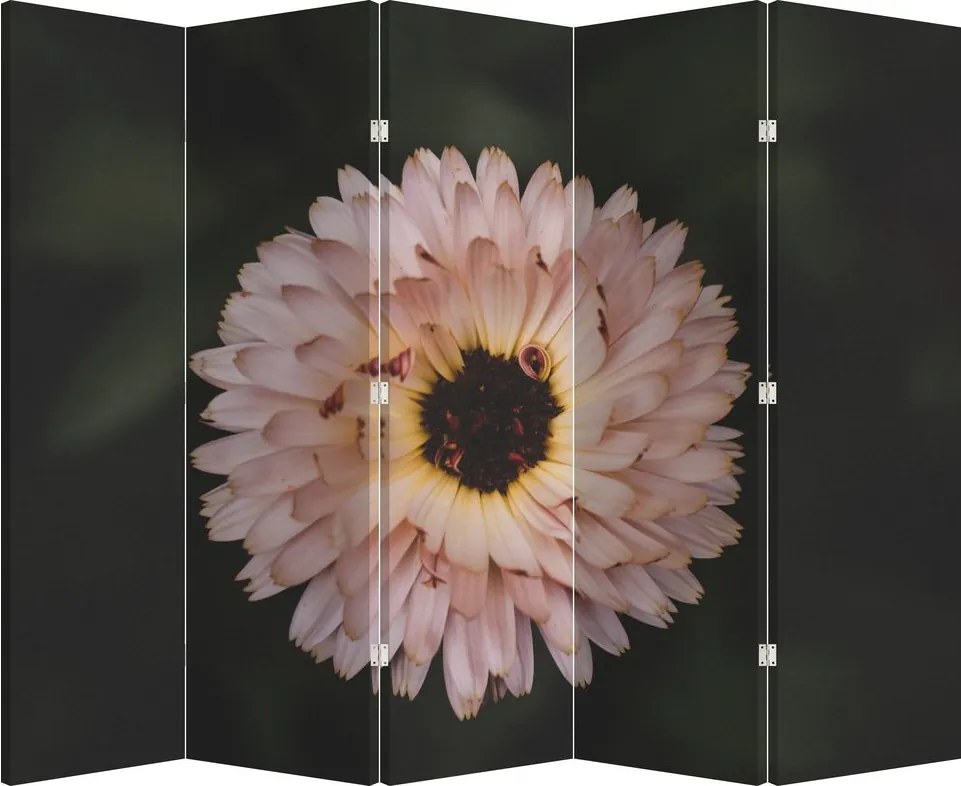 Paravan - Floare portocalie (210x170 cm)