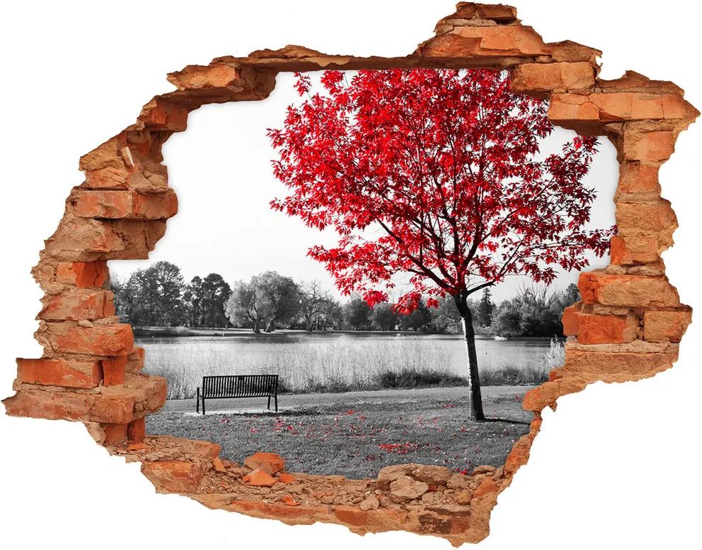 Fototapet 3D gaură în perete Copac roșu