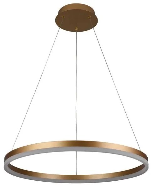 Lustră LED dimabilă pe cablu Brilagi CIRCLE LED/42W/230V 3000-6500K + telecomandă