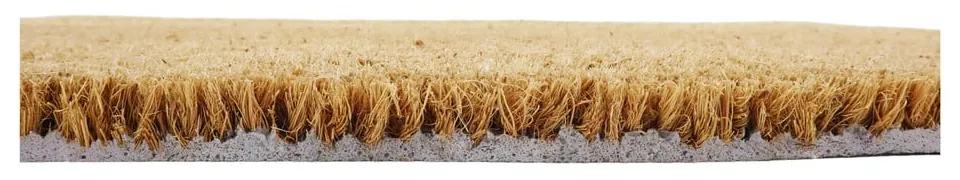 Covoraș de intrare din fibre de nucă de cocos 40x60 cm Hello, Bye – Artsy Doormats