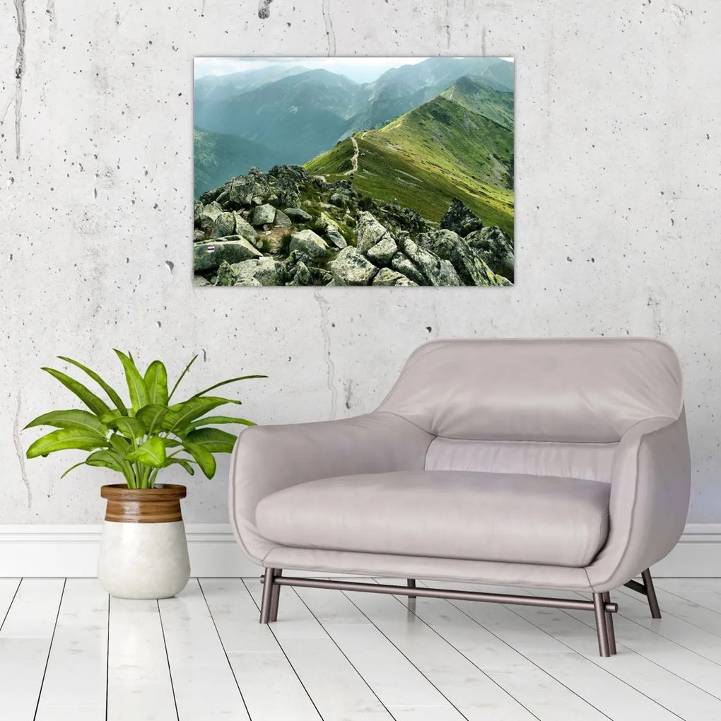 Tablou - Peisaj montan (70x50 cm)