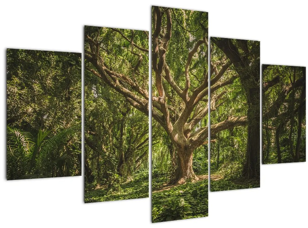 Tablou cu copaci (150x105 cm)