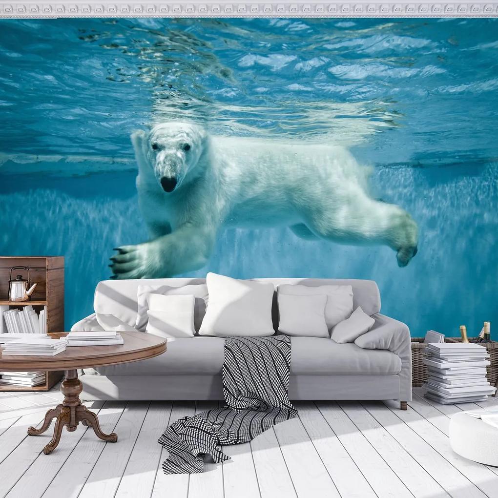 Fototapet - Ursul polar (254x184 cm), în 8 de alte dimensiuni noi