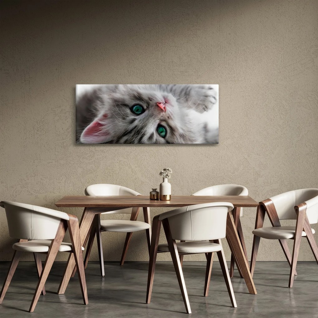 Tablou - Pisica cu ochi verzi (120x50 cm)