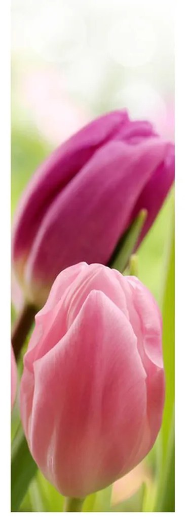 Fotojaluzele R012125R42150 (42x150 cm)