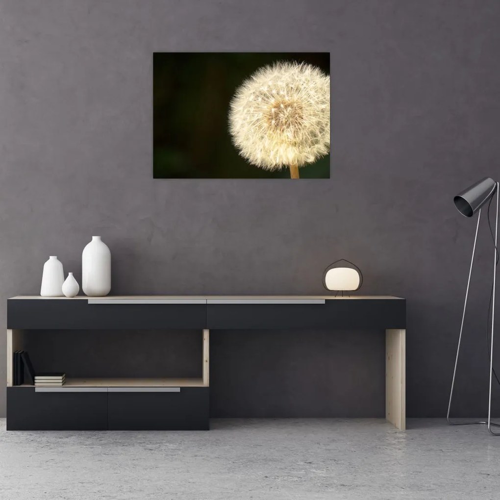 Tablou cu păpădie gri (70x50 cm)