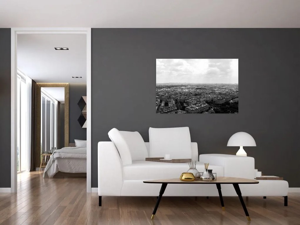 Tablou - Acoperișuri clădirilor din Paris (90x60 cm)