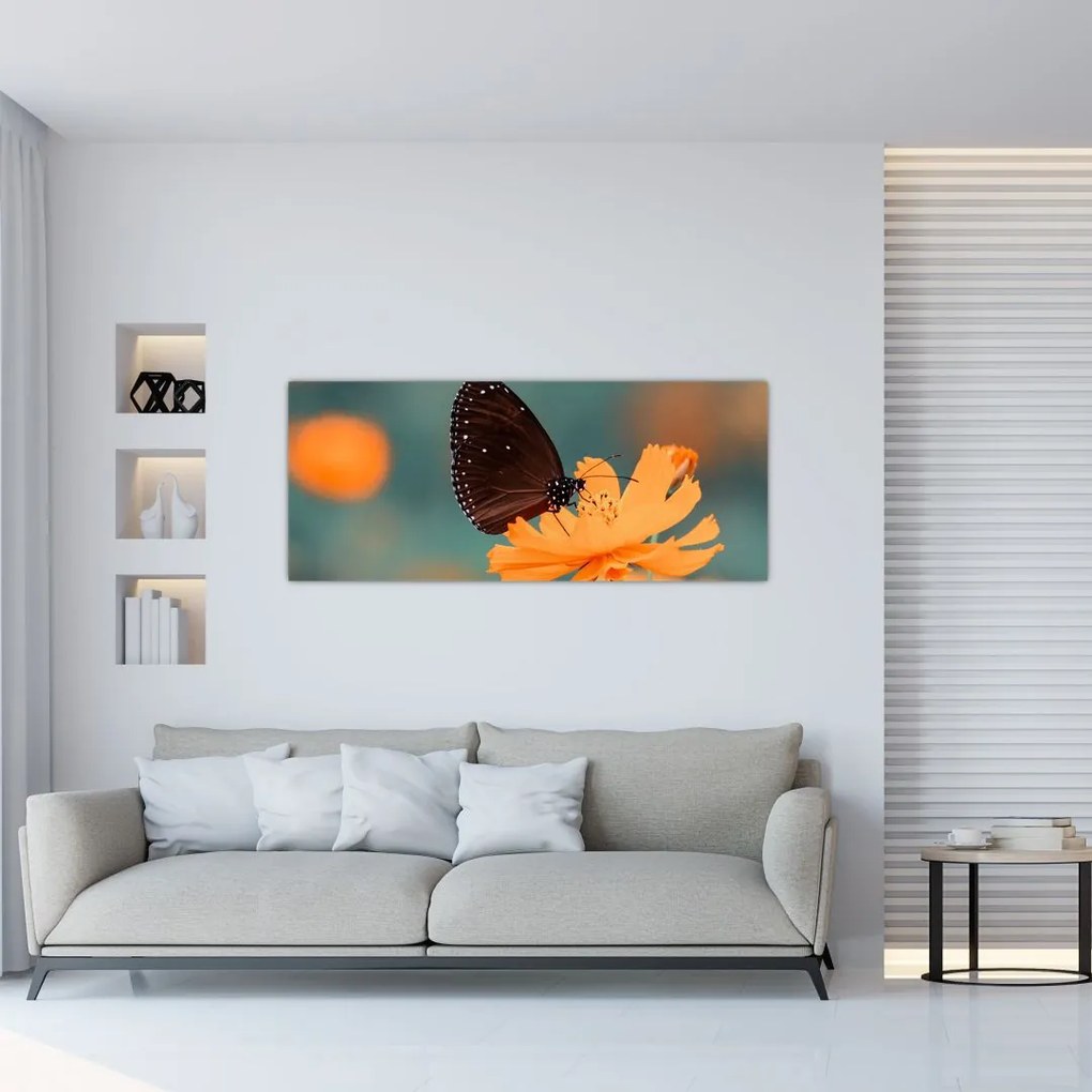 Tablou - fluture pe o floare portocalie (120x50 cm)