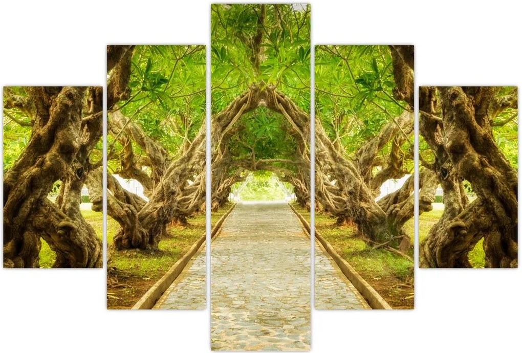 Tablou - Tunel viu din plumeria (150x105 cm)