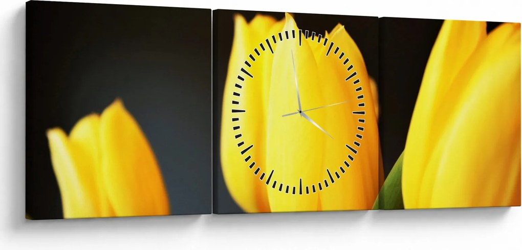Tablou cu lalele (cu ceas) (90x30 cm)