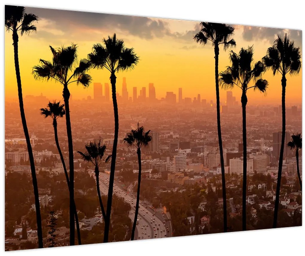 Tablou - Panorama din Los Angeles (90x60 cm)