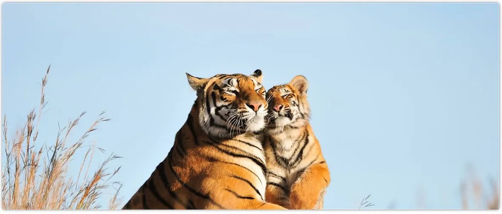 Tablou - Tigroaica cu pui (120x50 cm)