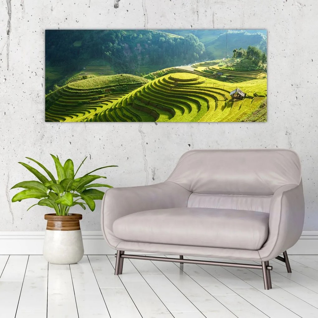 Tablou - Concert Terase de orez (120x50 cm)