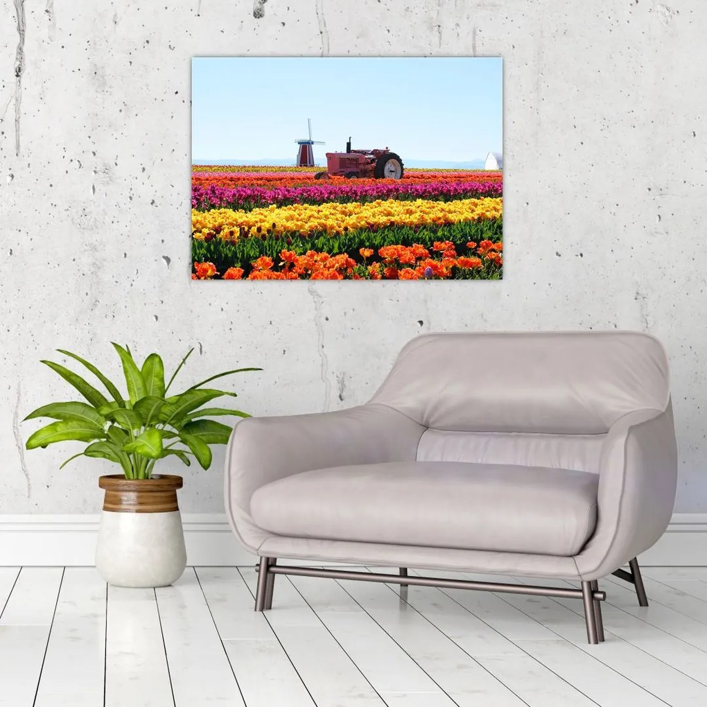 Tablou pe sticlă cu farma de lalele (70x50 cm)