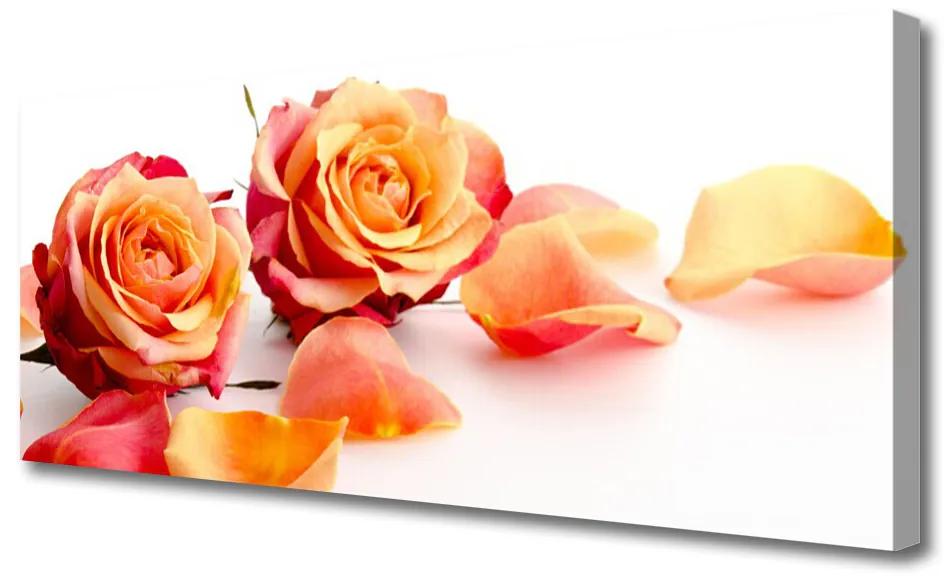 Tablou pe panza canvas Trandafiri Floral Galben Portocaliu