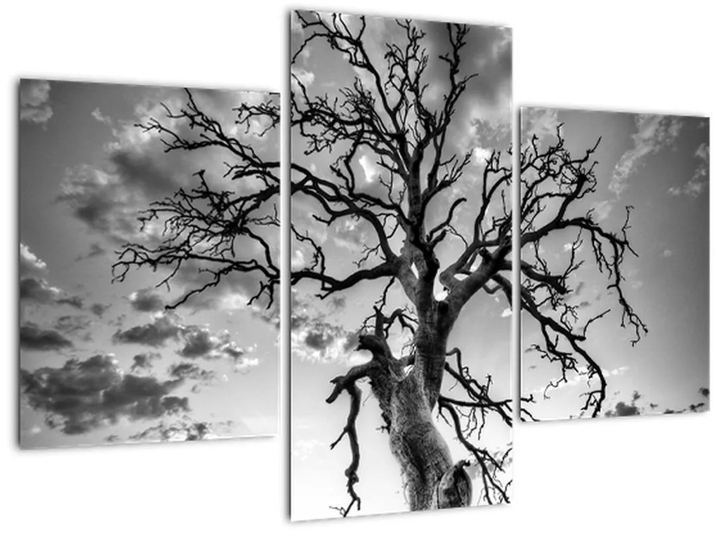 Tablou - Copacul, alb-negru (90x60 cm)