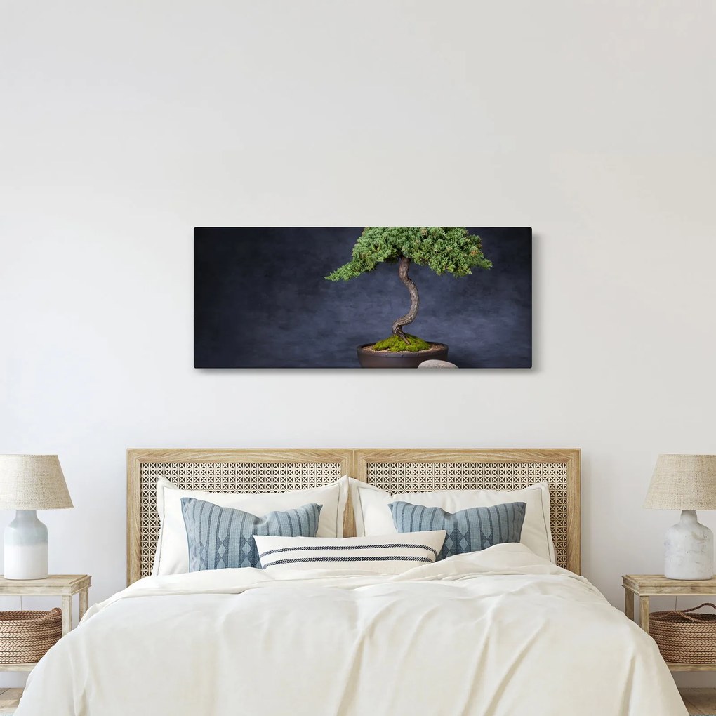 Tablou - Bonsai (120x50 cm)