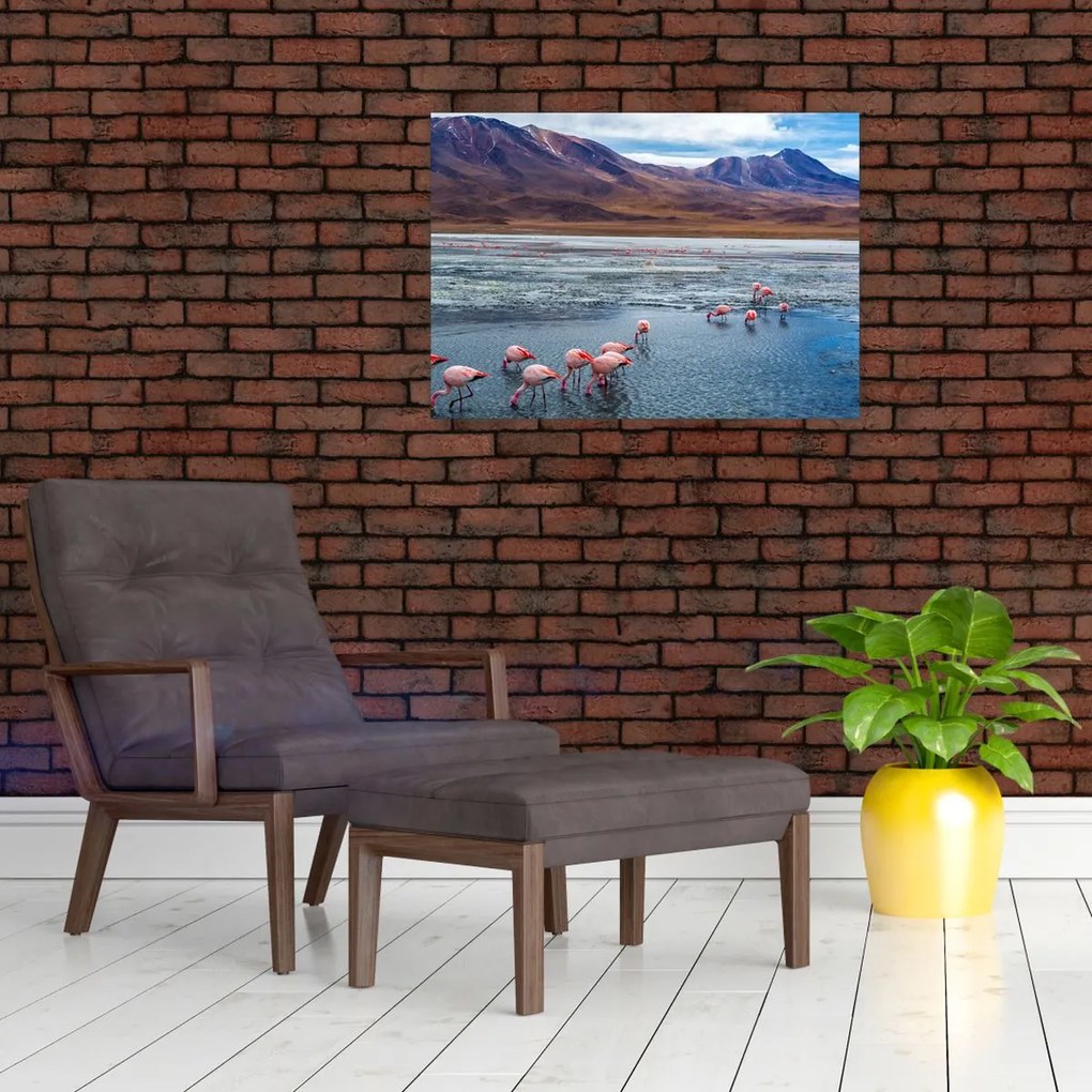 Tablou - Flamingo (70x50 cm)