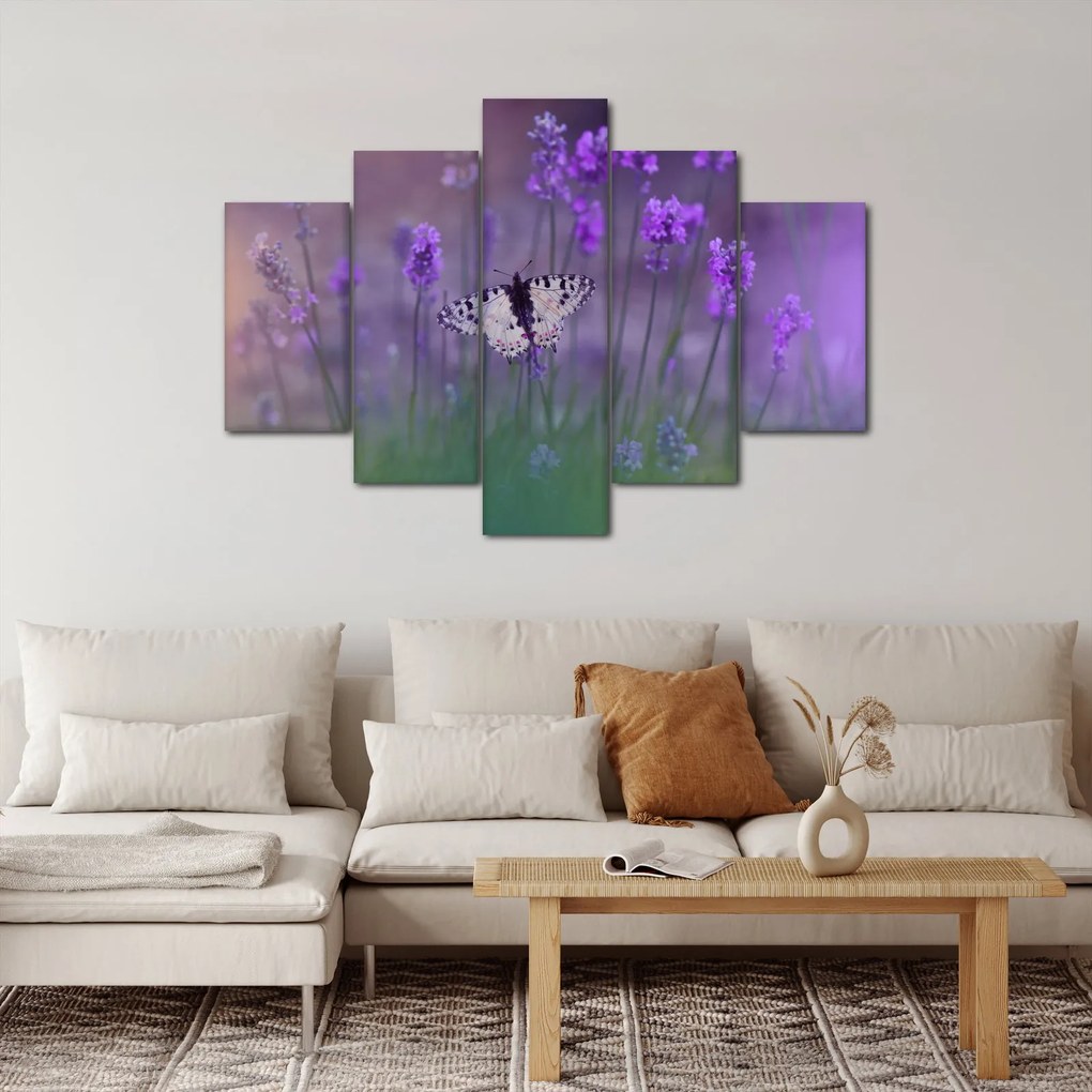 Tablou - fluture în lavandă (150x105 cm)