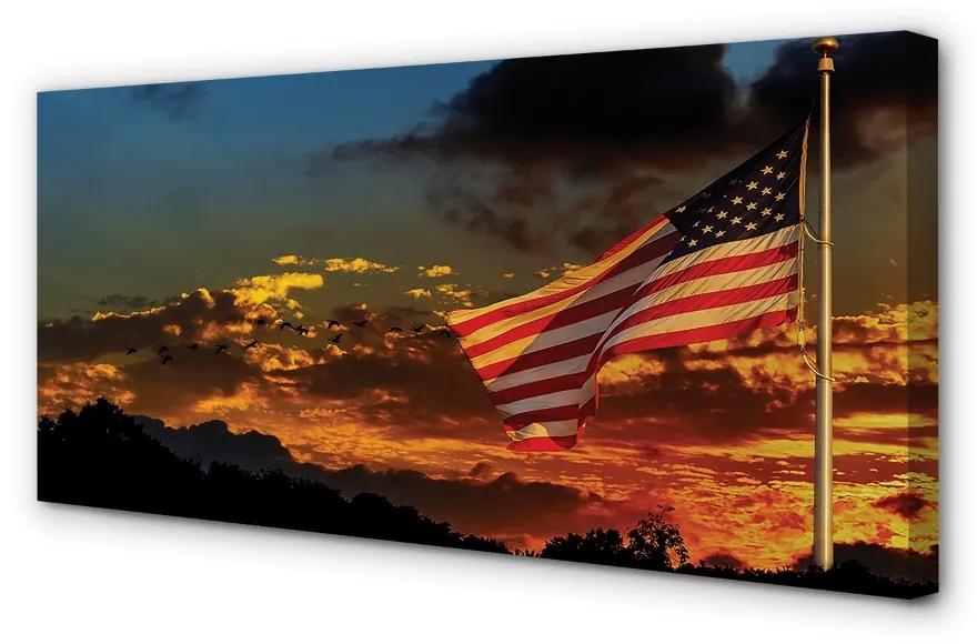 Tablouri canvas Statele Unite Flag