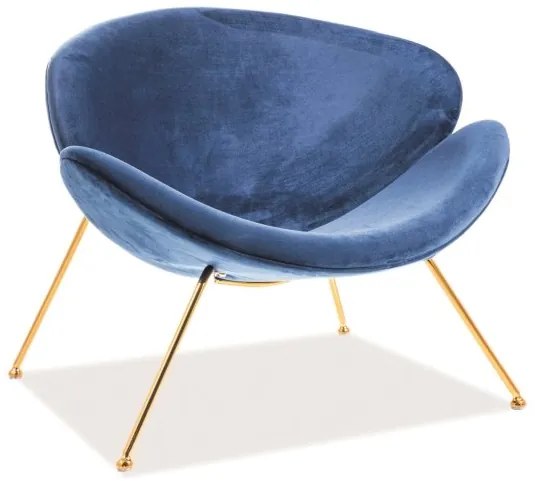 Fotoliu catifea Culoare Albastru / Auriu, MAJOR VELVET