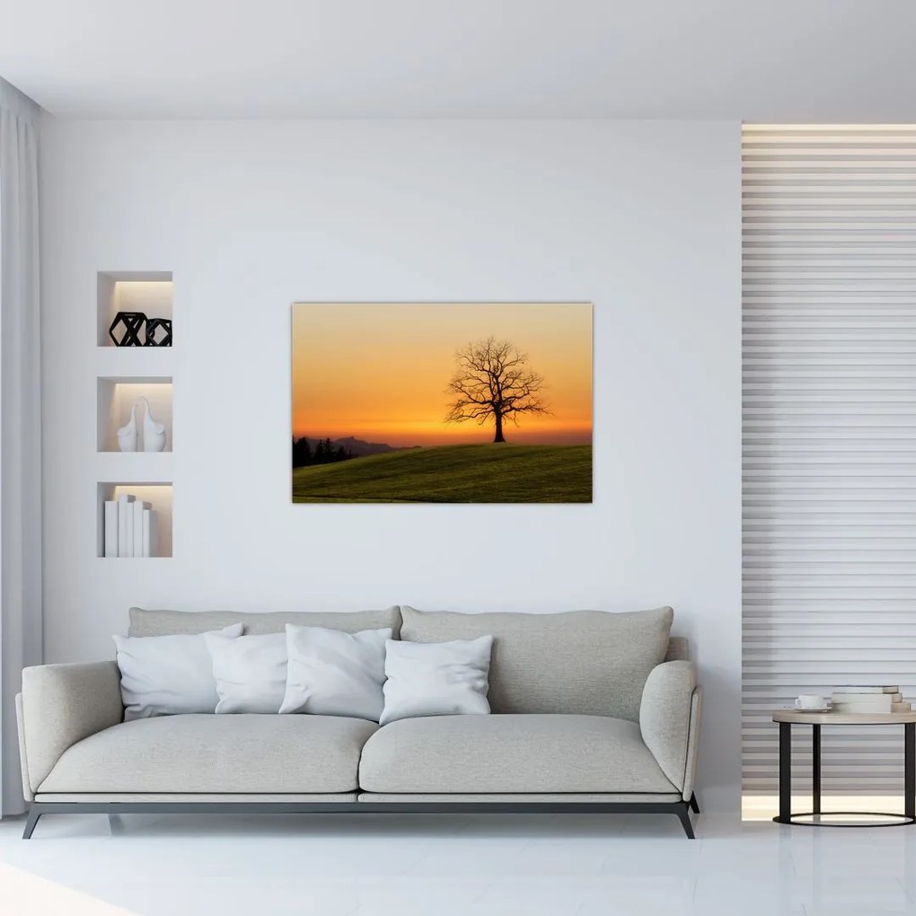 Tablou cu apus de soare pe o luncă (90x60 cm)