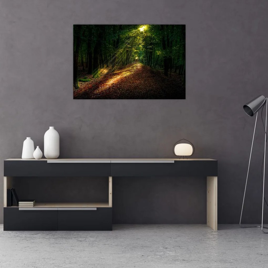 Tablou cu poteca prin pădure (90x60 cm)