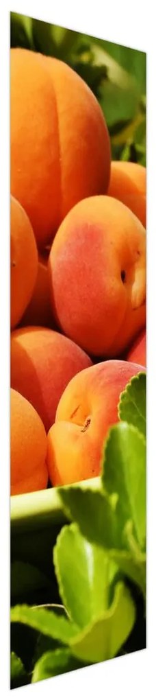 Fotojaluzele R014791R42150 (42x150 cm)