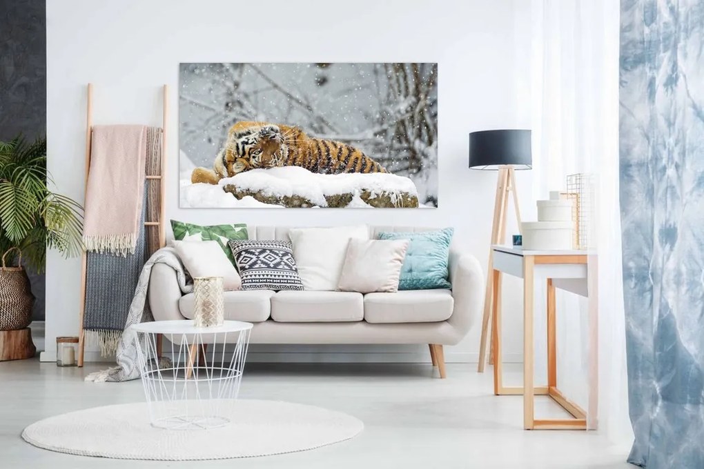 Tablou canvas Tigru in zapada - 90x60cm