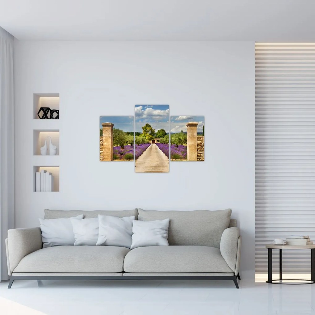 Tablou - Căi de lavandă (90x60 cm)