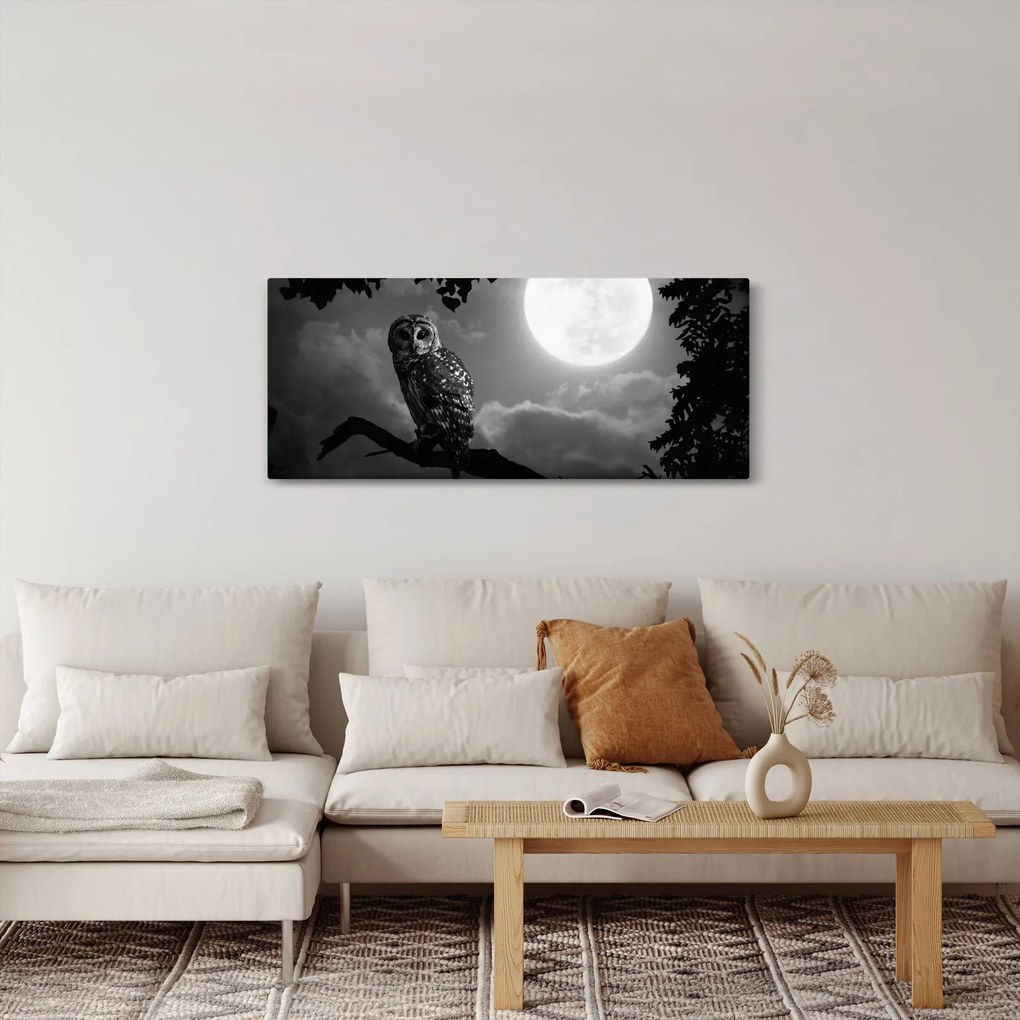 Tablou - Bufniță de noapte, alb și negru (120x50 cm)